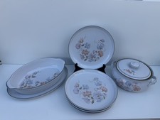 Immaculate UNUSED Denby Encore