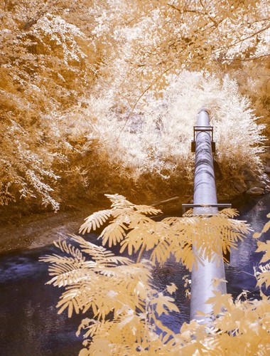 Infrared converted camera - converted,
