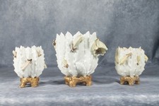 3 Antique Moore Brothers