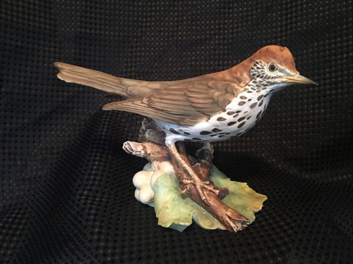 Tay italy ceramic wood thrush - tay,