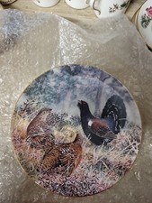 Wedgwood Decorative Plate -