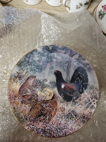 Wedgwood decorative plate - wedgwood,