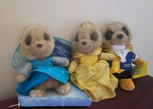 Compare the market meerkat - the,