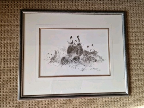 David shepherd panda - shepherd,,