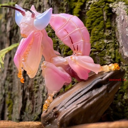 4cm cute pink - 6.4cm, mantis