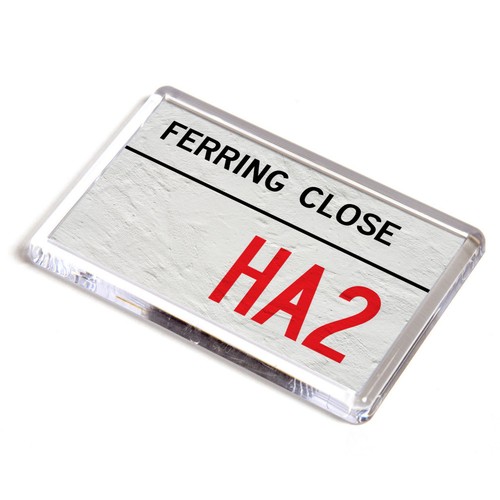 Fridge magnet ferring - fridge,
