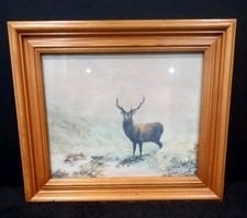 Framed Highland Stag Print In Wooden Oak Frame Home Wall Decor