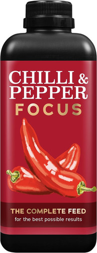 Chilli pepper focus - chilli,