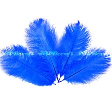 Royal Blue Natural Genuine Ostrich Feather Fluffy Costume Craft Party Decor