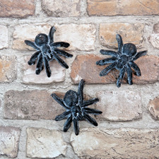 3 Spider Garden Ornaments Wall