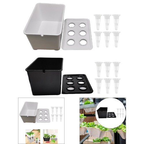 Hydroponics growing system - growing, kit