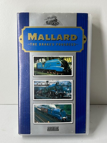 Mallard the drake - the, drake's