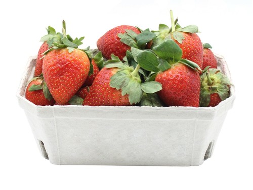 Fruit punnets harvesting crop - fruit,