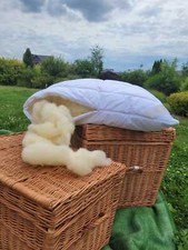 1 x Alpaca pillow merino wool