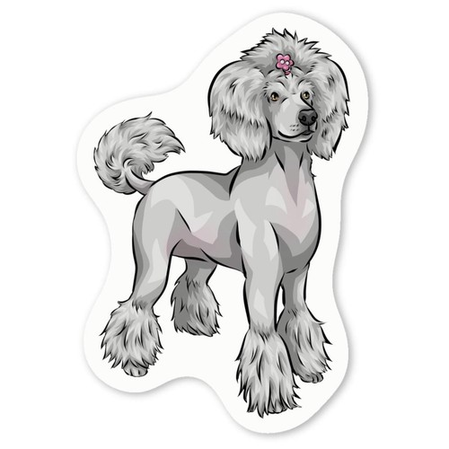 Grey poodle decal stickers - 'grey,