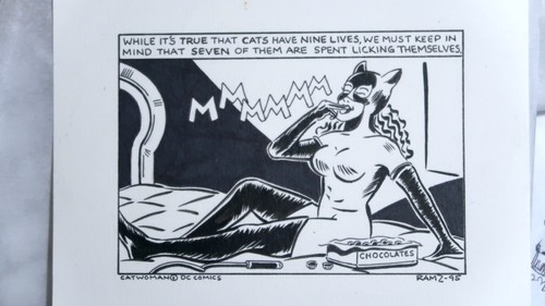 Catwoman original comic strip - original,