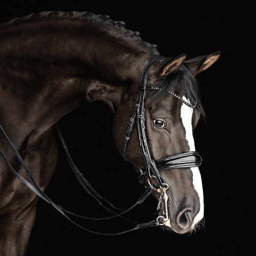 Dressage double bridle full - dressage,