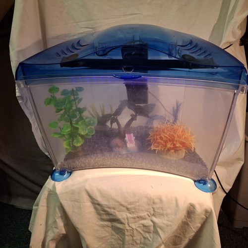 Marine acquarium fish tank - acquarium,
