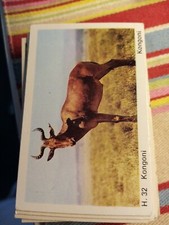 Pt3 Trade Card Dandy Gum Wild Animals H 32 kongoni 