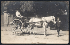Postcard Horse Transport lady