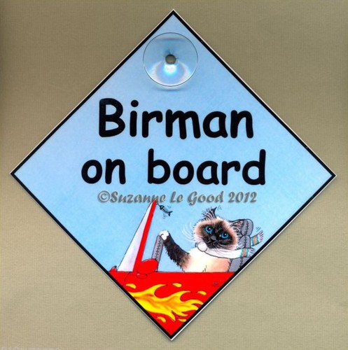 New design birman on board - design,