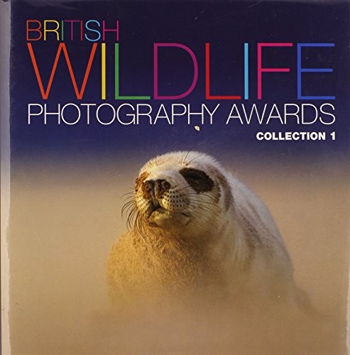 British wildlife photography - wildlife,