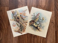 Basil Ede Bird Book Bookplates