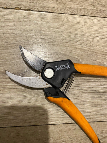 Wilkinson sword bypass - sword,