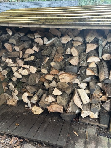 Hard wood seasoned firewood - seasoned,