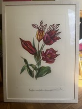 RARE Salvador Dali “Tulipa”.  Signed lithograph surrealist masterpiece 