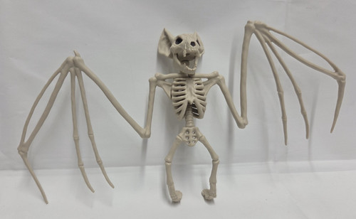 Vampire bat fossil hanging - vampire,