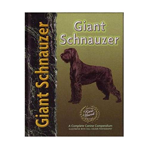 Giant schnauzer by - schnauzer,