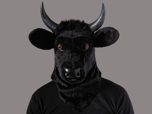 Bull mask adult halloween - bull,