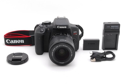 Mint canon eos - 【n, mint+++