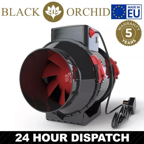 Black orchid hybrid flo inline - hybrid,