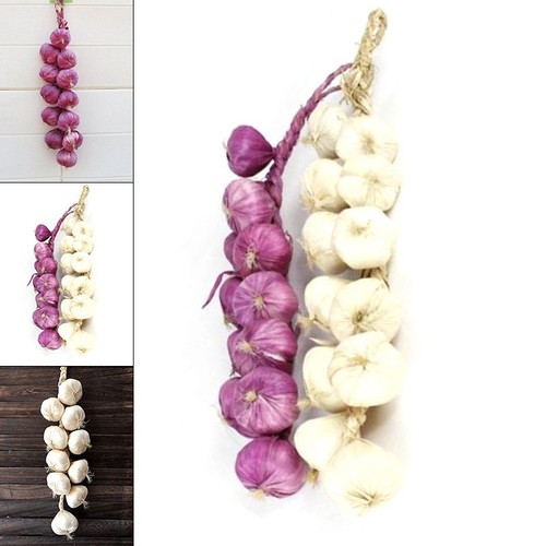 Artificial onion and garlic - onion,