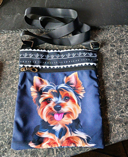 New yorkshire terrier dog - terrier,