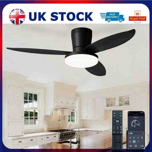 Led ceiling fan - fan, with
