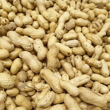 MONKEY NUTS / PEANUTS IN