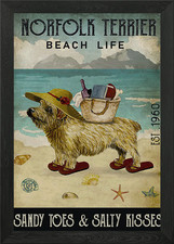 Norfolk Terrier Dog Framed