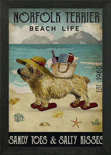 Norfolk terrier dog framed - norfolk,