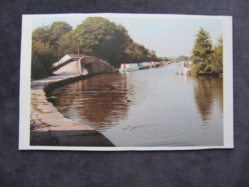 1990s postcard the marina - 1990s,