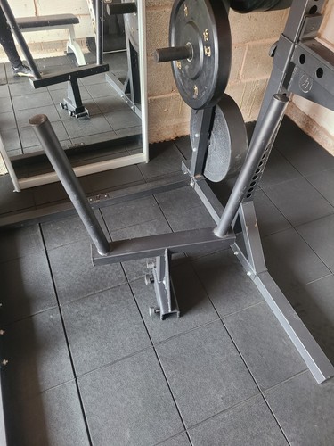 Strength shop dip horns - strength,