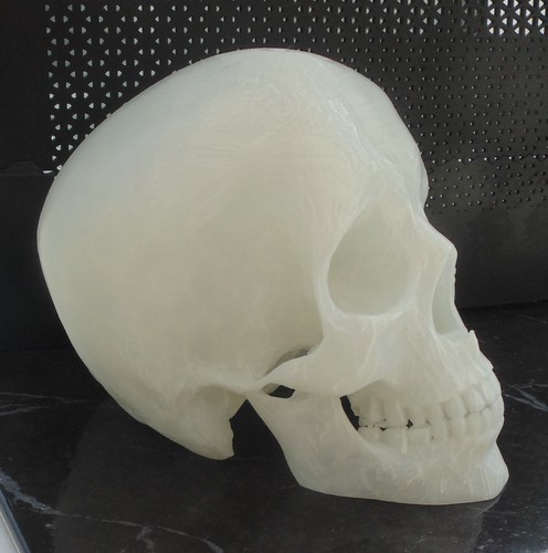 Ltd skull ornament 3d - ltd,