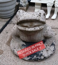 Stone Frog Garden