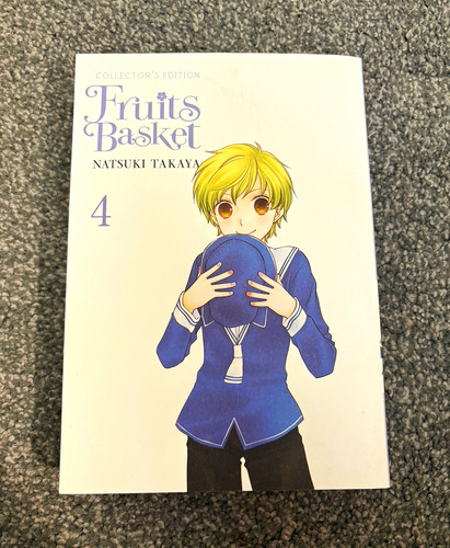 Fruits basket collector - fruits,