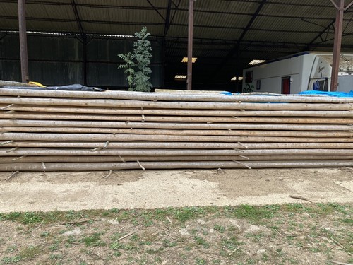 Softwood hardwood poles tipi - softwood/hardwood, poles/tipi