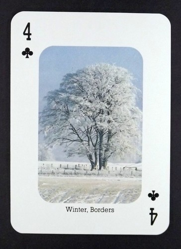 Playing card scottish - x,