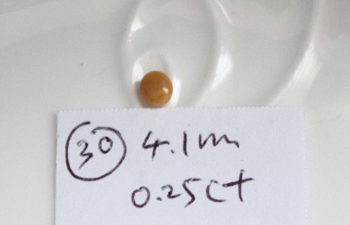 Genuine natural conch pearl - genuine,