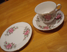 Queen Anne pink Rose Floral